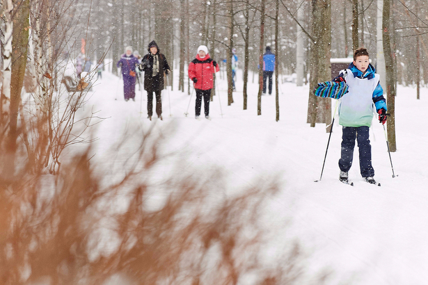 В столичных парках этой  зимой можно будет покататься на лыжах по нетающему снегу