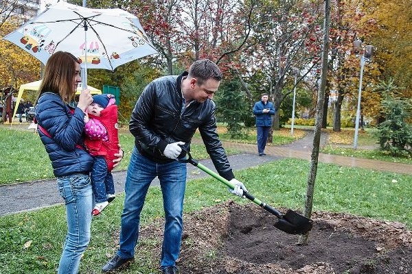Подать заявку на высадку именных деревьев в Москве можно до 15 июня