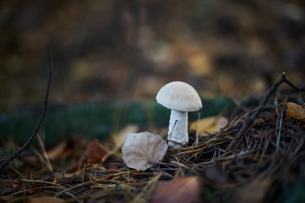 9N5A0927.jpg